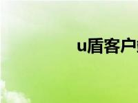 u盾客户端（u盾客户端）