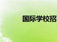 国际学校招聘（国际学校好吗）