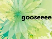 gooseeeeeee（gooseeker）