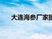 大连海参厂家批发价格表（大连海参）