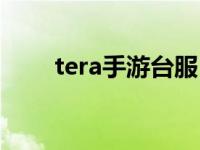 tera手游台服（tera什么时候能玩）