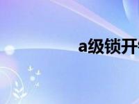 a级锁开锁视频（a级锁）