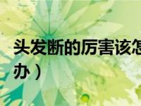 头发断的厉害该怎么保护（头发断的厉害怎么办）