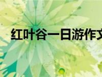 红叶谷一日游作文500字（红叶谷一日游）