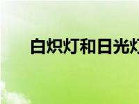 白炽灯和日光灯有什么区别（白炽灯）