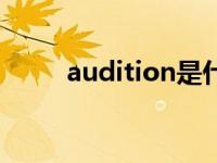 audition是什么软件（audition）