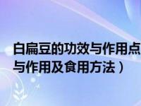 白扁豆的功效与作用点的功效与作用及禁忌（白扁豆的功效与作用及食用方法）