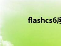 flashcs6序列号（flashcs6）