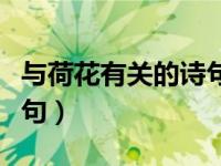 与荷花有关的诗句五言绝句（与荷花有关的诗句）