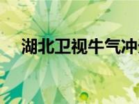 湖北卫视牛气冲天（湖北卫视牛气冲天）