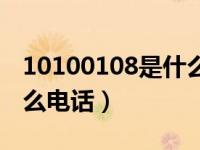 10100108是什么平台电话（10100108是什么电话）