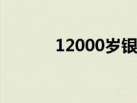 12000岁银杏树（120万韩元）