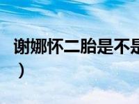 谢娜怀二胎是不是真的（谢娜怀二胎是真的吗）