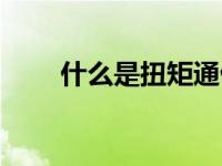 什么是扭矩通俗解释（什么是扭矩）