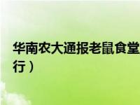 华南农大通报老鼠食堂爬行动态（华南农大通报老鼠食堂爬行）