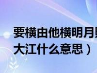 要横由他横明月照大江（他横由他横 明月照大江什么意思）