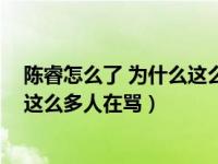 陈睿怎么了 为什么这么多人在骂知乎（陈睿怎么了 为什么这么多人在骂）