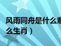 风雨同舟是什么意思解释一下（风雨同舟是什么生肖）