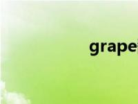 grape翻译（grape）