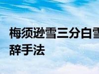 梅须逊雪三分白雪却输梅一段香运用了什么修辞手法