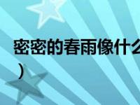 密密的春雨像什么一年级（密密的春雨像什么）