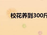 校花养到300斤（最美校花超两百斤）