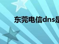 东莞电信dns是多少（东莞电信dns）