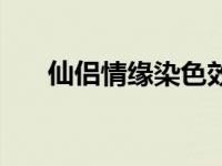 仙侣情缘染色效果图（仙侣情缘染色）