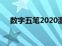 数字五笔2020激活版（数字五笔2005）