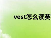 vest怎么读英文发音（vest怎么读）