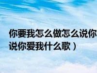 你要我怎么做怎么说你才能爱我什么歌（你要我怎么做才能说你爱我什么歌）