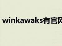 winkawaks有官网吗（winkawaks金手指）