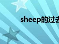 sheep的过去式（sheep的音标）