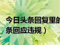 今日头条回复里的搜索文字怎么输入（今日头条回应违规）