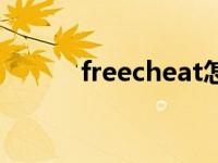 freecheat怎么用（freecheat）