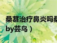 桑葚治疗鼻炎吗桑树根可以代替吗（私人助理by芸鸟）