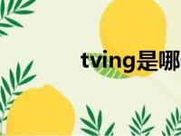 tving是哪个公司的（tving）