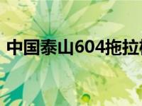 中国泰山604拖拉机多少钱一台（中国泰山）