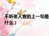 不听老人言的上一句是什么完全版（不听老人言的上一句是什么）