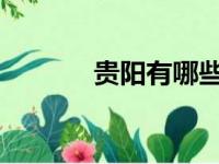 贵阳有哪些比较好的公办卫校