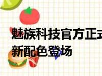 魅族科技官方正式宣布魅族17采用AG工艺的新配色登场