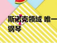 斯诺克领域 唯一墨菲和我国球员罗弘昊偏爱钢琴