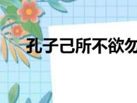 孔子己所不欲勿施于人的欲是什么意思