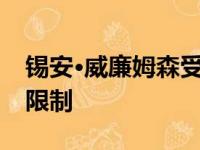 锡安·威廉姆森受伤更新：新秀将有上场时间限制