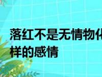 落红不是无情物化作春泥更护花表达了诗人怎样的感情