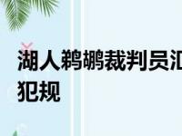 湖人鹈鹕裁判员汇报：漏吹莺哥对詹姆斯重要犯规