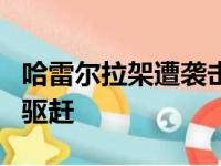 哈雷尔拉架遭袭击 黄蜂魔术师暴发冲突3人遭驱赶