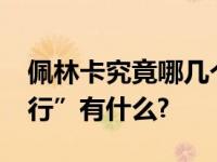 佩林卡究竟哪几个方面做得不太好?他的“罪行”有什么?