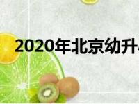 2020年北京幼升小网上审核不通过怎么办