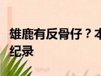 雄鹿有反骨仔？本次阿德托昆博竟激励对手破纪录